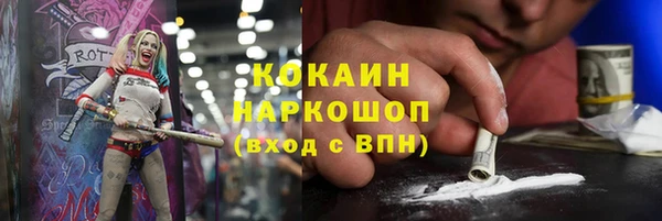 дживик Абаза