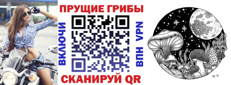 мориарти Telegram Суоярви Галлюциногенные грибы ЛСД
